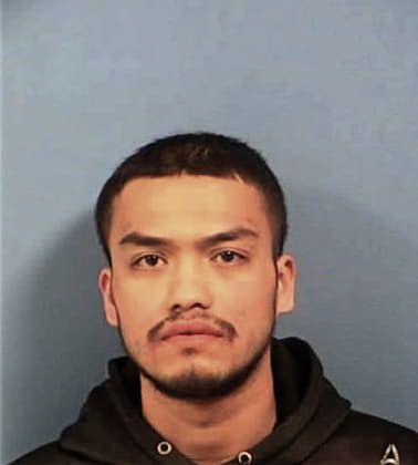 Adan Gonzaga-Tagle - DuPage County, IL 