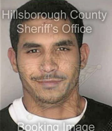 Americo Landin, - Hillsborough County, FL 