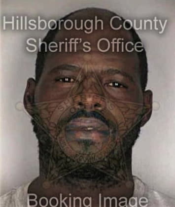 Vincent McMiller - Hillsborough County, FL 