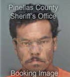 Roberto Miranda, - Pinellas County, FL 