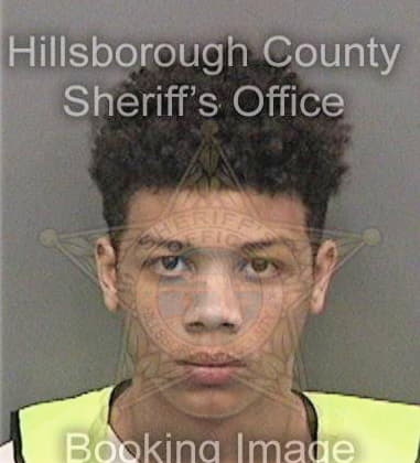 Nathaniel Walker, - Hillsborough County, FL 