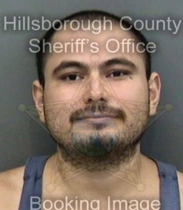 Damon Antonelli, - Hillsborough County, FL 