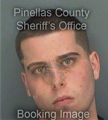 Nicholas Harding, - Pinellas County, FL 