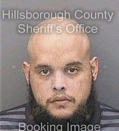 Demetrius Kotsovolos, - Hillsborough County, FL 