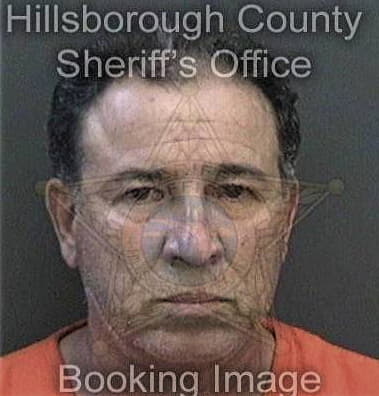 Dariel Mercedesazcona - Hillsborough County, FL 