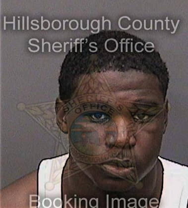 David Richardson, - Hillsborough County, FL 