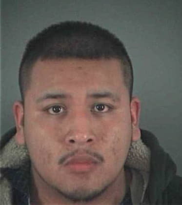 Taylor Dillon - Lane County, OR 