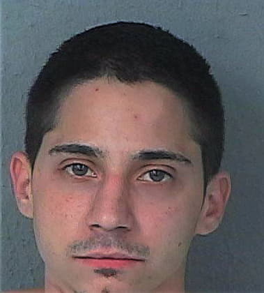 Anthony Fraccalvieri, - Hernando County, FL 