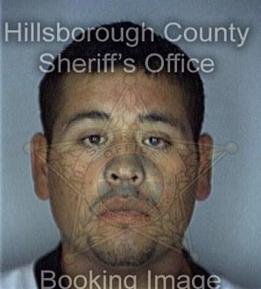 David Hellard, - Hillsborough County, FL 