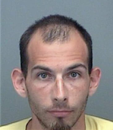 Erick Malkasian, - Pinellas County, FL 