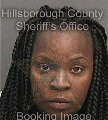 Ckova Coachy - Hillsborough County, FL 
