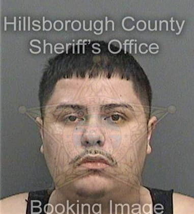 Michael Feise, - Hillsborough County, FL 