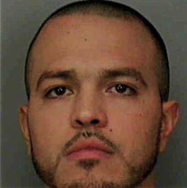 Francisco Gonzalezgarcia, - Polk County, FL 