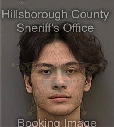 Devin Heimbold, - Hillsborough County, FL 