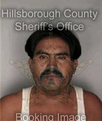 Alberto Villadazapat, - Hillsborough County, FL 