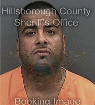 Matthew Wilkinson - Hillsborough County, FL 