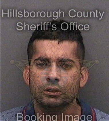 Nelson Diaz, - Hillsborough County, FL 