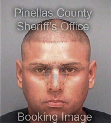 Donald Gonzalezfernandez, - Pinellas County, FL 