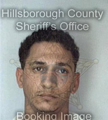 Virginio Rosales, - Hillsborough County, FL 