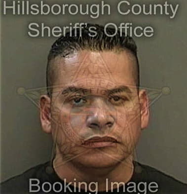 Luis Santiago, - Hillsborough County, FL 