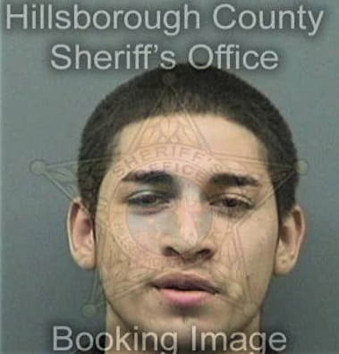 Brenton Torresayala, - Hillsborough County, FL 