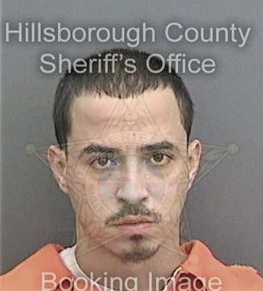 Vincent Assalone, - Hillsborough County, FL 