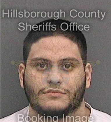 Jaido Diazvicente, - Hillsborough County, FL 