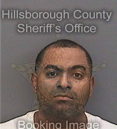 Wayne Hurley, - Hillsborough County, FL 