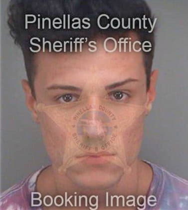 Sean Brenner, - Pinellas County, FL 