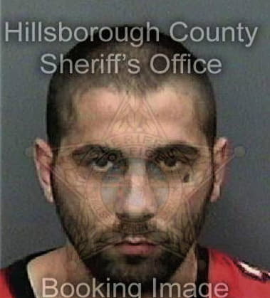 Damon Cottle, - Hillsborough County, FL 