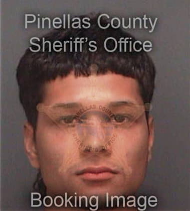 Frank Enriquezlechuga, - Pinellas County, FL 