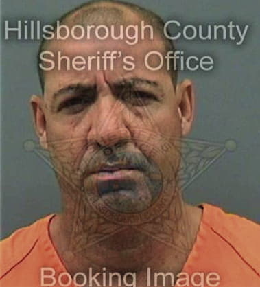 Tulio Figueroacarrion, - Hillsborough County, FL 