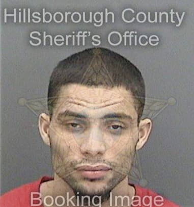 Lenin Kunhardt, - Hillsborough County, FL 