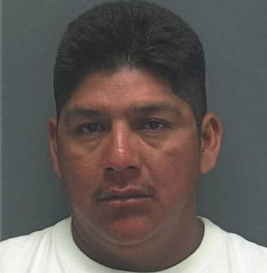 Luis Mejia, - Lee County, FL 