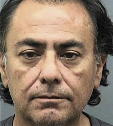 Ivan Nunezmarin, - Hillsborough County, FL 