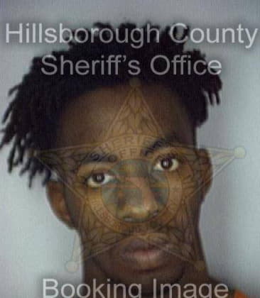 Nathaniel Williams, - Hillsborough County, FL 