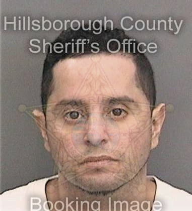 Todd Williams, - Hillsborough County, FL 