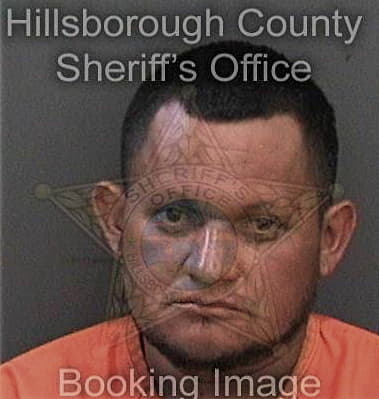 Robinson Guerrerocordero, - Hillsborough County, FL 