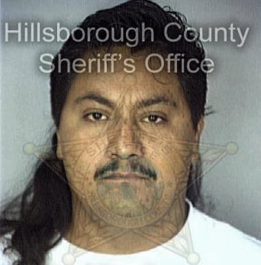 Calixto Macario, - Hillsborough County, FL 