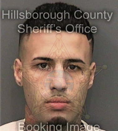 Timothy Quintavalle, - Hillsborough County, FL 