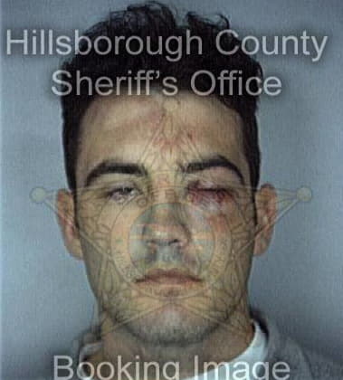 Lindstrand Chow - Hillsborough County, FL 