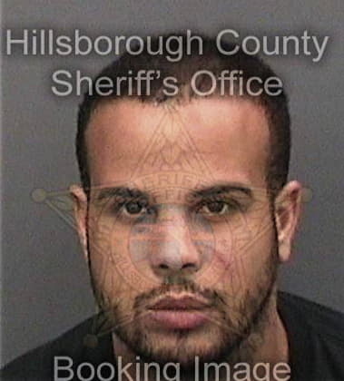 Raul Feliciano-Rivera, - Hillsborough County, FL 