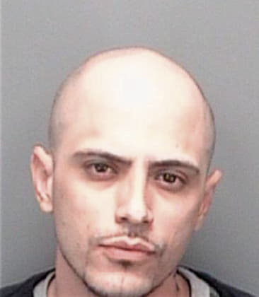 Samuel Garzaarnebdariz, - Pinellas County, FL 