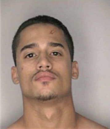 Mark Hendryx - Hillsborough County, FL 