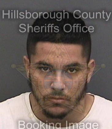 Joshua Molina, - Hillsborough County, FL 