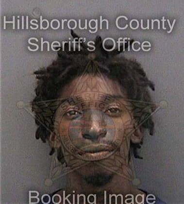 James William - Hillsborough County, FL 