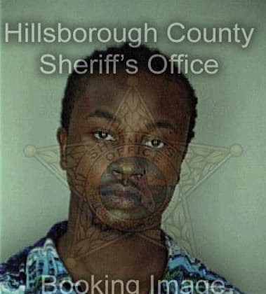 Brian Williams - Hillsborough County, FL 