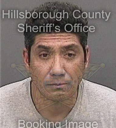 Anthony Alvarenga, - Hillsborough County, FL 