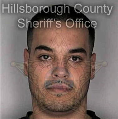 Alexandro Calvosolis, - Hillsborough County, FL 