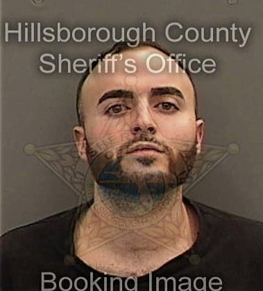 Julio Carrillofigueroa, - Hillsborough County, FL 